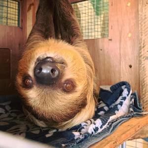 Meet your Posher, Shellie